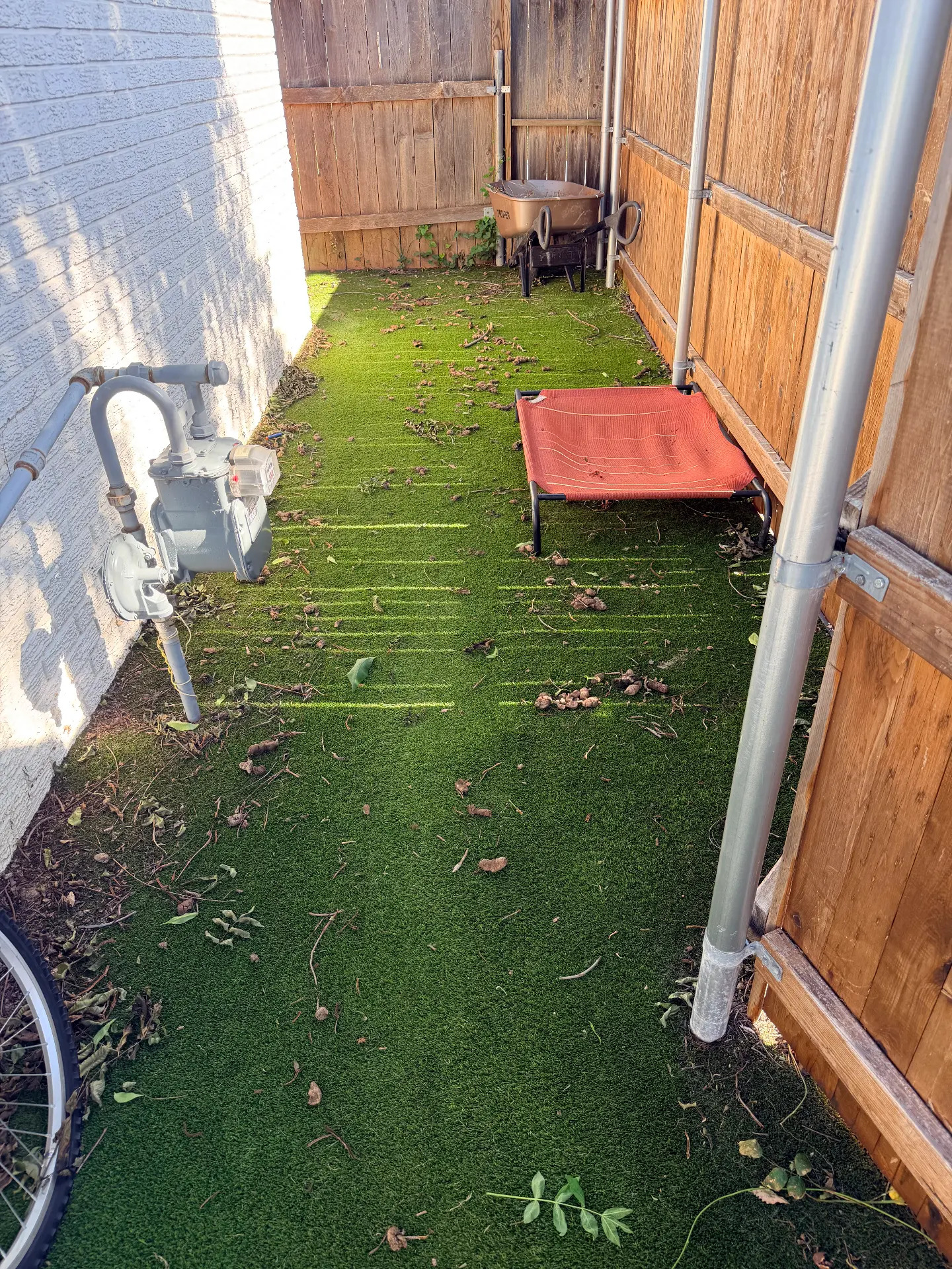 Turf before cleaning